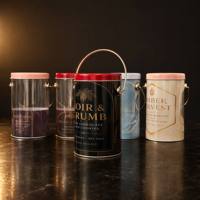 Boîte à biscuits personnalisée en PET transparent avec couvercle et fond en fer blanc et poignée en fil métallique pour l'emballage de biscuits, bonbons, chocolats et cadeaux