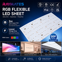 Feuilles LED d'intérieur super fines Raymates pour rétroéclairage de marbre, feuilles LED flexibles RGB pour publicité, feuilles LED flexibles, lumières LED