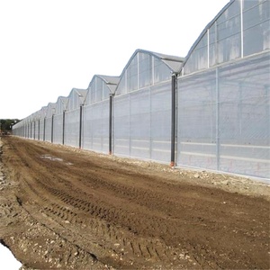 Invernadero grande multiusos de plástico para agricultura de doble capa Skyplant a la venta - Product Image 1
