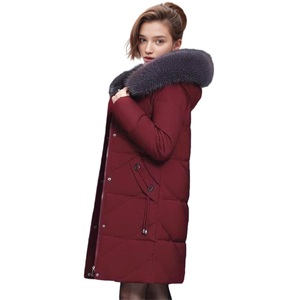 Abrigo largo de algodón grueso con cremallera y manga larga de color liso para mujer, a la moda - Product Image 1