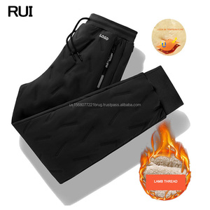 Pantalon cargo matelassé pour homme, coupe droite, imprimé par transfert thermique, coupe-vent épais, nouvelle conception, broderie haute qualité, style décontracté, vente chaude - Product Image 1