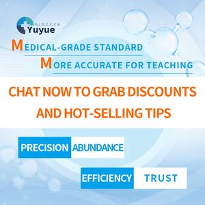 Modèle d'anatomie de l'artère crânienne humaine avec cerveau - Modèle de dissection de l'artère cérébrale pour l'enseignement de <span class=keywords><strong>la</strong></span> <span class=keywords><strong>neurosciences</strong></span> - Product Image 6