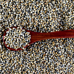 Millet perlé pour la transformation alimentaire - Product Image 1