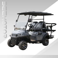 Support OEM Nouvelle voiturette de golf électrique 48v alimentée par batterie au lithium 4-6 places Club Car pour kart touristique