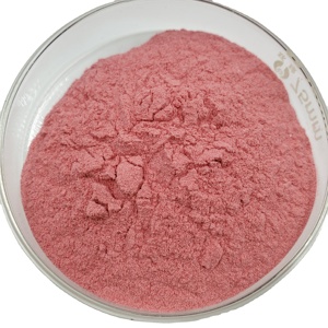 100% poudre de fruit de cactus naturelle de haute qualité poudre de figue de barbarie naturelle au meilleur prix - Product Image 4