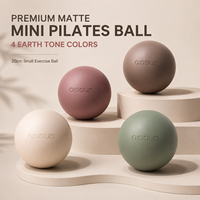 Mini ballon de Pilates mat premium 25 cm, petit ballon d'exercice avec pompe manuelle et couleurs esthétiques tons terre pour le fitness à domicile
