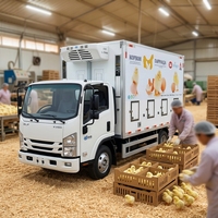 Camion de transport de poussins, canetons et porcelets ISUZU 4x2 manuel, neuf, essence, à température constante, pour le transport de bétail