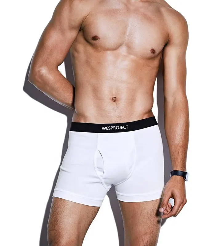 Custom 100% Biologisch Katoen Ademend Underpants Comfortabele Slips Heren Boxer Shorts Ondergoed