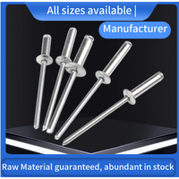 Boîtes de rivets aveugles en titane à tête dôme ouverte en vrac, rivets aveugles en acier au carbone avec placage zinc pour applications industrielles