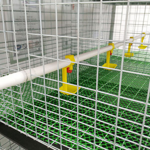 Commercio all'ingrosso della fabbrica 4 livelli 2 porte tipo <span class=keywords><strong>H</strong></span> galvanizzato automatico bettery gabbia di pollo per la cultura della fattoria - Product Image 5