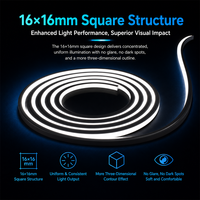 Bande LED néon flexible 16*16mm, ruban lumineux à découpe libre, IP67, blanc chaud/froid 2700K/3000K/6000K, télécommande, CRI élevé