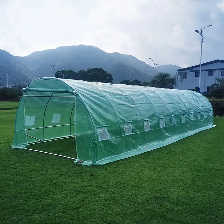 رخيصة البولي كربونات الخضار هواية حديقة الدفيئات مقاومة للأشعة فوق البنفسجية الأخضر منزل خيمة
