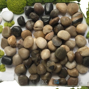 <span class=keywords><strong>Piedras</strong></span> de jardín decorativas <span class=keywords><strong>grandes</strong></span>, guijarros naturales de playa <span class=keywords><strong>para</strong></span> bordes de paisaje - Product Image 4