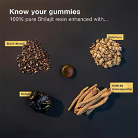 Haute puissance Shilajit Gummies 3000mg extrait de résine GMP usine quantité minimale de commande 500 bouteilles