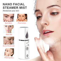 Mini Dispositivo de pulverización facial eléctrico Personal para el hogar, carga Usb, belleza portátil, cuidado de la piel, botella pulverizadora de niebla Facial, Nano Mist Spray
