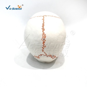 Modelo Anatómico <span class=keywords><strong>de</strong></span> Cráneo Humano con Suturas Numeradas, Material <span class=keywords><strong>de</strong></span> PVC Educativo para Ciencias Médicas - Product Image 5