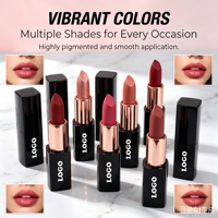 Rouge à lèvres magnétique personnalisé avec logo, fini velours mat, enrichi en vitamine E, waterproof, longue tenue, haute pigmentation, marque privée, cosmétique pour les lèvres.