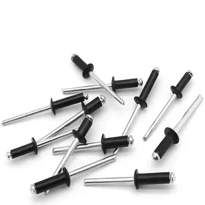 500pcs Rivets Pop en aluminium noir agrandir les rivets à tête de dôme 5/32 "1/4" 3/16 "Rivets aveugles de couleur noire