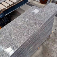 Dalles de granit naturel de qualité supérieure, granit gris clair flammé, granit chinois G603 gris clair