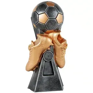 Trophée de Football en Or et Argent avec Plaque Personnalisée - Product Image 1