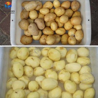1000kg/uur RVS-pomp aardappelwas-, schil- en snijmachine voor groenteverwerkingslijn