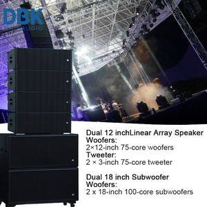 مكبر صوت صفيف خطي مزدوج <span class=keywords><strong>12</strong></span> بوصة DBK مع صوت مزدوج 18 ، حفلة موسيقية احترافية للبار - Product Image 2