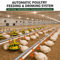 Équipement d'élevage de poulets entièrement automatique BERYS, nouveaux abreuvoirs et mangeoires en acier inoxydable, système de paniers pour une meilleure alimentation