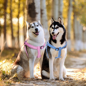 Nobleza comoda imbracatura riflettente senza trazione regolabile per cani di piccola taglia molti colori e dimensioni, incluso il grande modello solido XL - Product Image 2