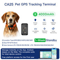Collar de Adiestramiento GPS para Perros de Razas Medianas/Grandes, 4G LTE, WiFi, GSM, Beidou, AGPS, Rastreo, Vibración, Estimulación, PC/Android, 1 Año