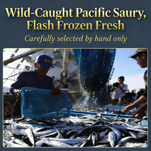 Saury entier congelé 100% poisson entier, <span class=keywords><strong>pêche</strong></span> durable <span class=keywords><strong>de</strong></span> notre propre flotte, ingrédients pour sushi japonais, certifié ISO HACCP HALAL, en vrac - Product Image 2