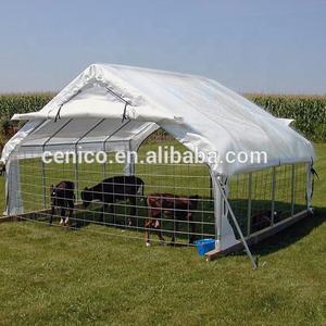 Panier de poulet en acier inoxydable, <span class=keywords><strong>abri</strong></span> de vie - Product Image 2