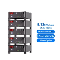 Batterie LiFePO4 51,2 V 100 Ah en rack, 5,12 kWh, empilable, pour stockage solaire, avec BMS, RS485/CAN, Bluetooth, WiFi, 6000+ cycles, 16 unités en parallèle