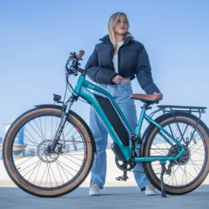 2023女士通勤长尾自行车货物进口电动自行车750w八方成人电动自行车