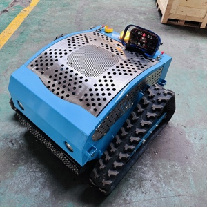 Tondeuse à gazon robotisée sans fil 4 temps Y16-800 à commande à distance 800 mm, cylindre à essence, capacité de franchissement inégalée (50°) - - Product Image 2
