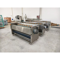 Machine de nettoyage et de pelage automatique à rouleaux brosse pour manioc, oignon vert, pomme de terre, gingembre, curcuma et carotte