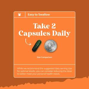 Suplemento de Apoyo para la Tiroides Energy Focus, Cápsulas con Selenio, Ashwagandha, Yodo, Zinc y Complejo de Vitamina B12 - Product Image 3