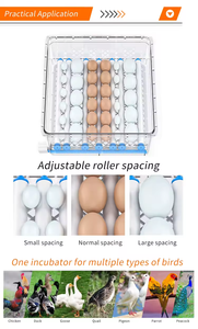 Hộ gia đình tự động kiểm soát nhiệt độ đa chức năng năng lượng mặt trời mini gia cầm nở brooder hộp - Product Image 2