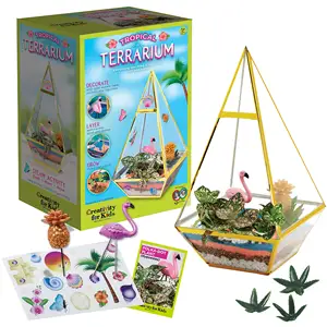 Triangle Shape Transparent Terrarium Craft Kit For Plants Observation Desk Decoration