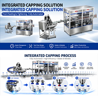 Machine de capsulage automatique monobloc CE à grande vitesse pour bouchons à clapet, bouchons papillon et bouchons twist-off pour bouteilles en plastique