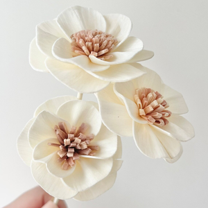 ソラフラワーディフューザーフラワーディフューザーリードディフューザー用プレゼントフラワー籐スティック - Product Image 2