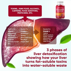 Bán Buôn 100% Tinh Khiết Hữu Cơ Tự Nhiên Đường Miễn Phí Sức Khỏe Gan Hỗ Trợ Làm Sạch Detox & Sửa Chữa Gummy Bổ Sung Với Cây Kế Sữa - Product Image 4