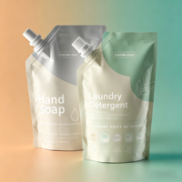 Emballage de recharge personnalisé en Doypack plastique, sachet souple à bec verseur pour lessive liquide, impression flexo, recyclable