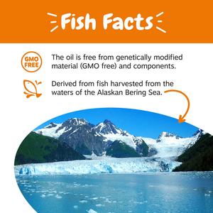 निजी लेबल त्वचा कोट स्वास्थ्य तरल तेल पूरक जंगली अल्सर कुत्तों और बिल्लियों के लिए - Product Image 5