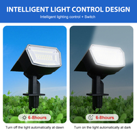 Venta al por mayor ABS Solar Powered LED Garden Lawn Yard Tree Light Resistente al agua y luz cálida con opción RGB para uso al aire libre