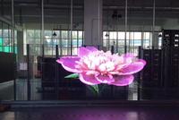 Pantalla LED Modular Transparente para Exteriores de Supermercados, Gran Pantalla Publicitaria Luminosa