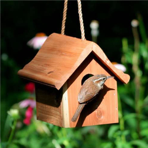 Waterproof Outdoor <strong>Birdhouse</strong> Home Decorative Wooden Bird Feeder Garden <strong>House</strong> - Product Image 2