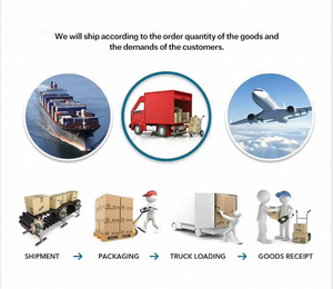 Regulador de alternador automotriz profesional genuino de alta calidad para <span class=keywords><strong>repuestos</strong></span> de camiones de automóviles precio de fábrica fabricante - Product Image 6