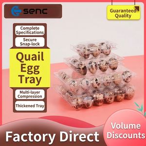 Bandeja Transparente para 30 Huevos de Codorniz con Protección Segura para el Mercado Minorista y Empaquetado de Huevos para Pequeñas Empresas - Product Image 6