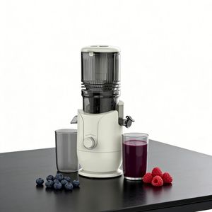 Nouvelle conception - Extracteur de jus électrique <span class=keywords><strong>Silver</strong></span> <span class=keywords><strong>Crest</strong></span> 250W à pression à froid et mastication lente pour fruits et herbes de blé, usage domestique - Product Image 5
