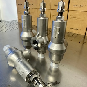 <span class=keywords><strong>Valvola</strong></span> di <span class=keywords><strong>Sicurezza</strong></span> NAI-LOK in Acciaio Inox 316, 1 Pollice FNPT X MNPT, a Molla, 20 Bar, Resistente alla Corrosione per Sistemi di Bombole del Gas - Product Image 3